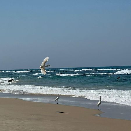Go To Apartments In Leonardo 바트얌 외부 사진